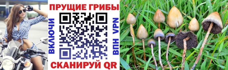 блэк спрут ССЫЛКА  Кораблино  Галлюциногенные грибы мухоморы 